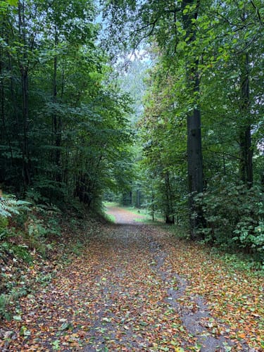 Entlang der Wupper von Schloss Burg