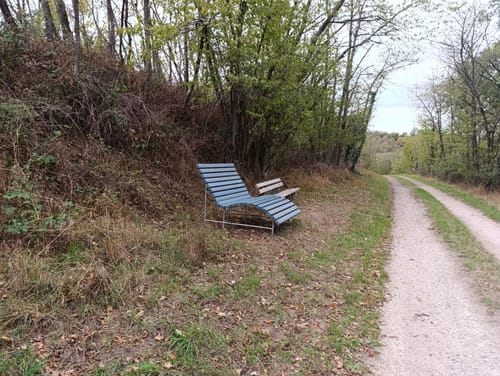 Pfalzblick (Premiumspazierwanderweg)