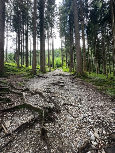 Tegernseer Höhenweg über den Neureuther Gipfel ab St. Quirin