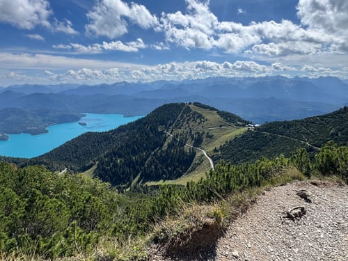 Herzogstand ab Walchensee