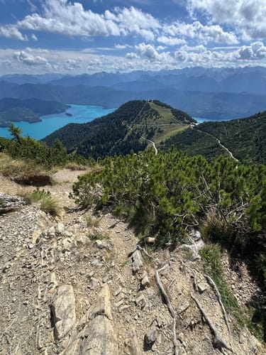 Herzogstand ab Walchensee