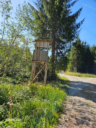 Romantische Straße Etappe 24: Rottenbuch - Halblech