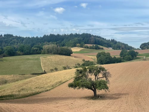 Rundwanderweg Altenbach 2: Ursenbach-Weg