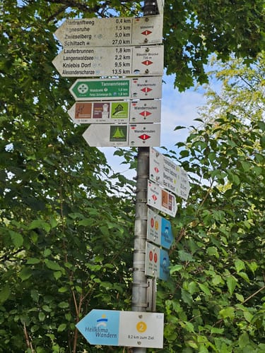 Tannenriesen (Premiumwanderweg)