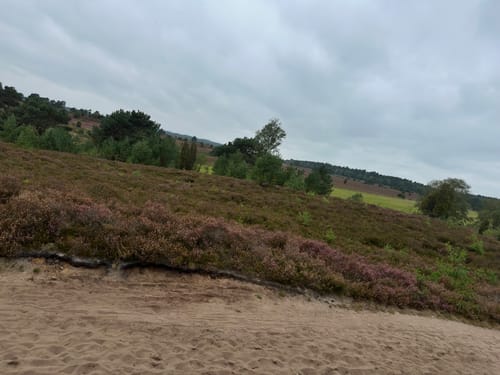 Nordic Walking 14L Undeloh
