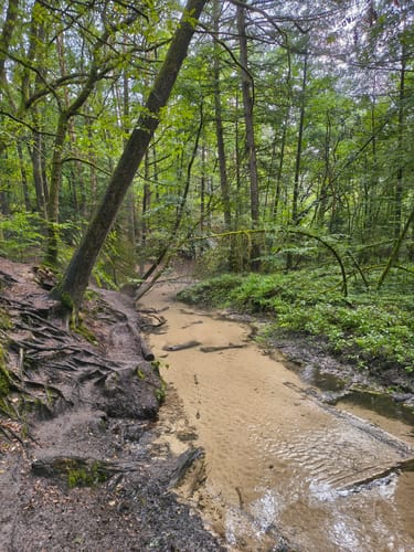Romantisches Furlbachtal