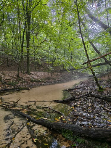 Romantisches Furlbachtal