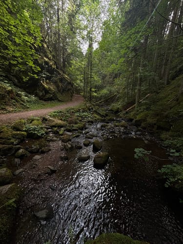 Rundweg Hinterzarten - Ravennaschlucht