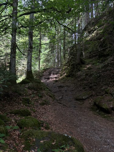 Rundweg Hinterzarten - Ravennaschlucht