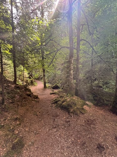 Rundweg Hinterzarten - Ravennaschlucht