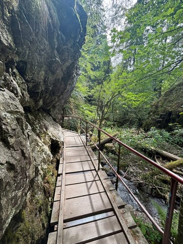 Rundweg Hinterzarten - Ravennaschlucht