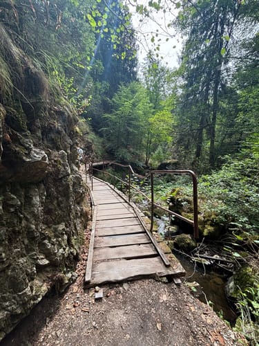 Rundweg Hinterzarten - Ravennaschlucht