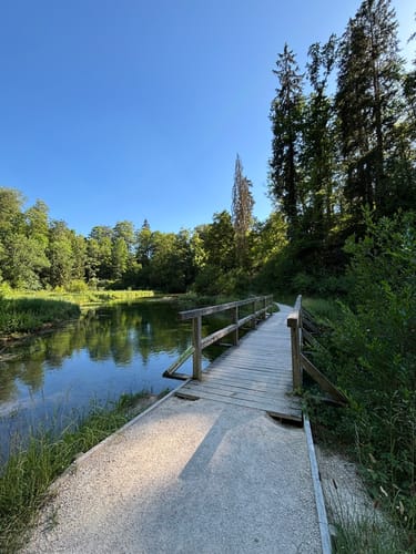 HOCHGEHBERGE I "hochgehpilgert" (Premiumwanderweg)