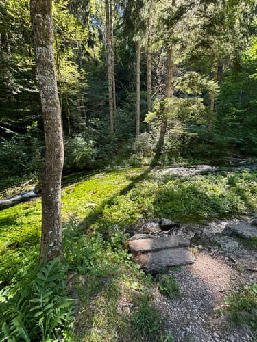HOCHGEHBERGE I "hochgehpilgert" (Premiumwanderweg)