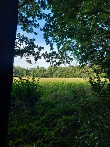 Runde um die Dörenther Klippen