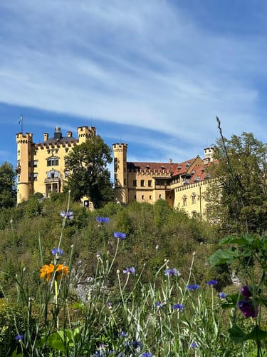 Neuschwanstein Rundweg