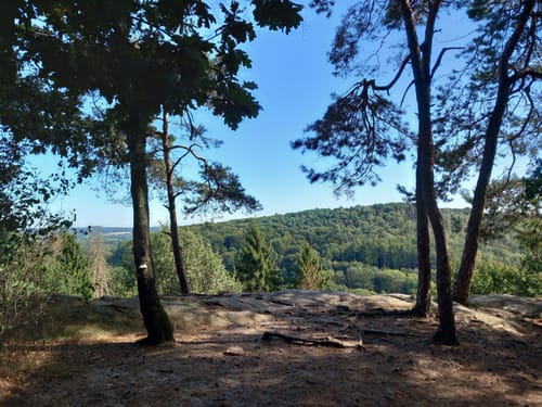 Runde um die Dörenther Klippen