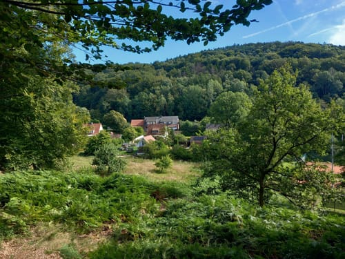 Runde um die Dörenther Klippen