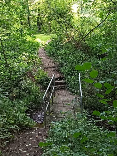 Runde um die Dörenther Klippen