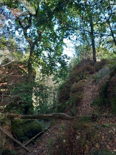 Runde um die Dörenther Klippen