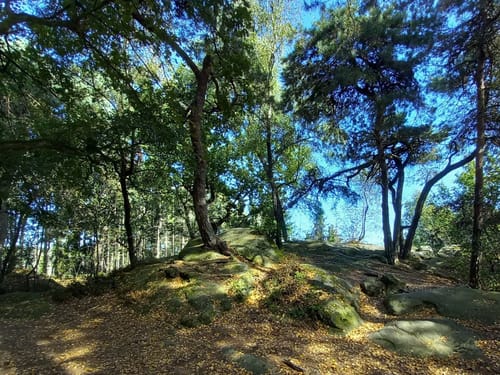 Runde um die Dörenther Klippen
