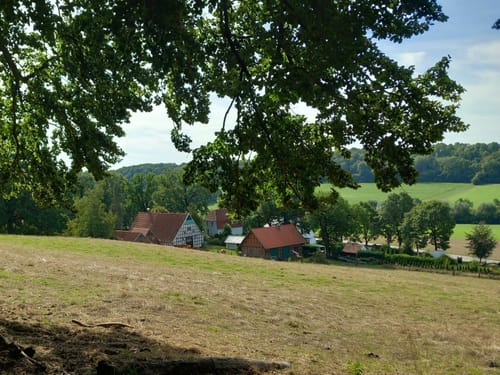 Runde um die Dörenther Klippen
