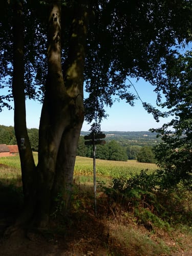 Runde um die Dörenther Klippen