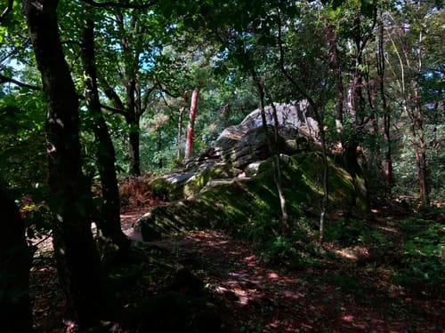 Runde um die Dörenther Klippen