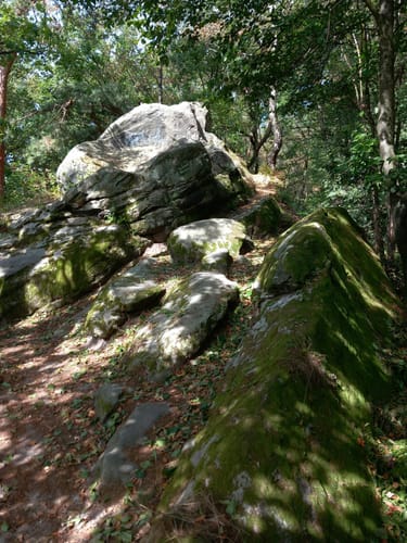 Runde um die Dörenther Klippen