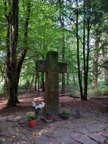 Runde um die Dörenther Klippen