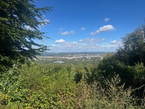 Vom Bremerhof zum Humbergturm