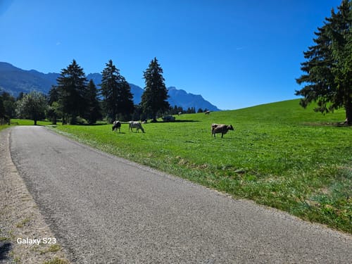 Romantische Straße Etappe 25: Halblech - Füssen