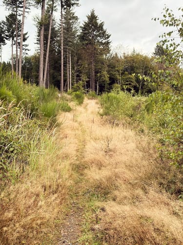 Rundwanderweg Waldenburg