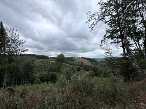 Rundwanderweg Waldenburg