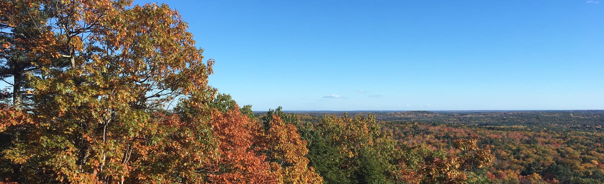 AllTrails Bradbury Mountain from The Corridor 384 Reviews, Map Maine