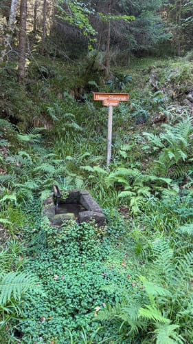 Buhlbach Rundwanderung