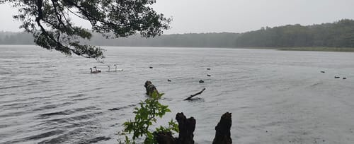 Schloss Dammsmühle - Mühlenbecker See - Summter See