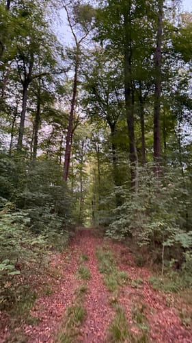 Ortsrundwanderweg Ober-Ramstadt 2