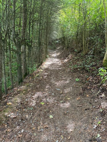 HeimatSpur Spazierweg Elfengrotte