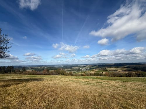 Karlskopf Panoramaweg (Moselsteig Seitensprung)