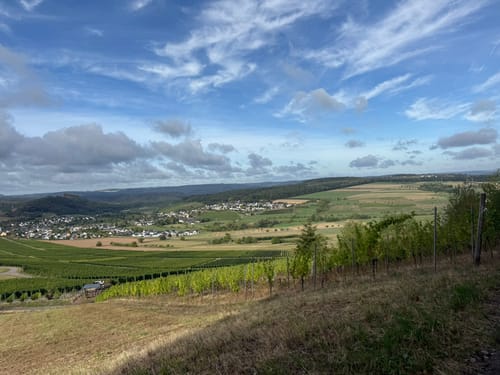 Karlskopf Panoramaweg (Moselsteig Seitensprung)
