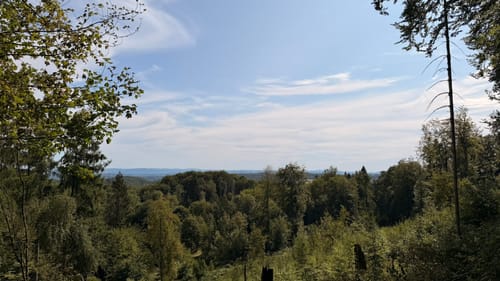 Tönsbergblicke