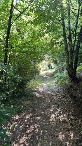 Tönsbergblicke