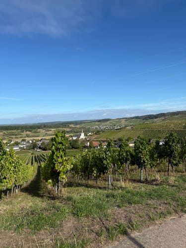 Euchariusberg ab Niedermennig