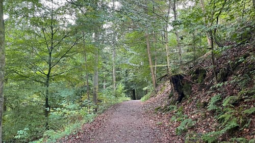 Müngsten: Links und rechts der Wupper