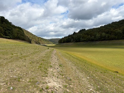 Knorreichenstieg am Edersee