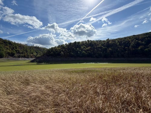 Knorreichenstieg am Edersee