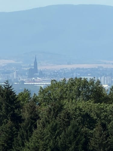Ortenauer Sagenrundwege: Kutzenstein