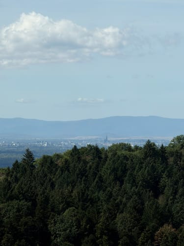 Ortenauer Sagenrundwege: Kutzenstein