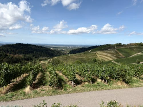 Ortenauer Sagenrundwege: Kutzenstein